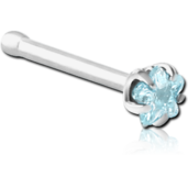 Nosovka hviezdička aquamarine