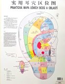 On-line seminár "Piercing podľa čínskej medicíny" - 26.1.2026