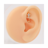 Pozlátený banánik 1.2/8.0